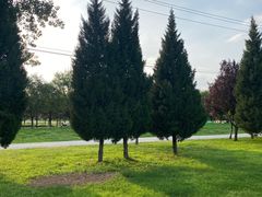 -汉长安城未央宫国家考古遗址公园