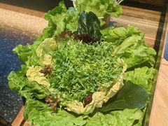-额尔敦草原涮羊肉·烧烤(冻青树总店)