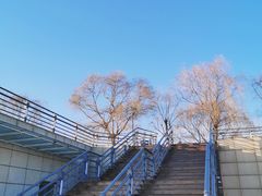 -大兴滨河森林公园