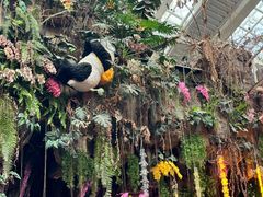 -正佳雨林生态植物园