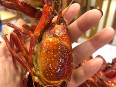 -古田会·肥肠鸡(古田店)