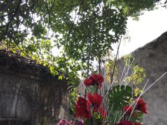 -祝家花園(伯渎港店)