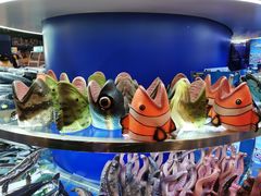 -上海海洋水族馆