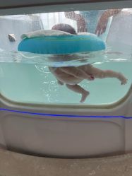-美悦湾月子中心(熙湖店)
