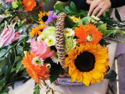 -悦颜美佳·美容·美甲美睫