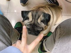 -双冰面馆(茶南店)
