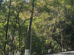 -火炉山森林公园