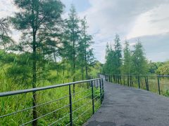 -美的鹭湖森林度假区