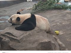 -安吉竹博园