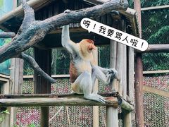-广州长隆野生动物世界