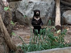 -清迈夜间动物园