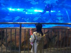 -华夏文旅海洋公园