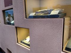 -陕西自然博物馆