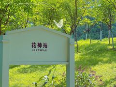 -南山植物园