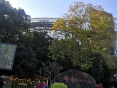 -梅峰山地公园