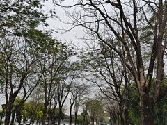 -顺峰山公园