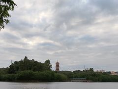 -三水森林公园