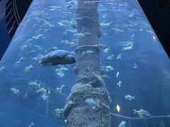 -厦门海底世界