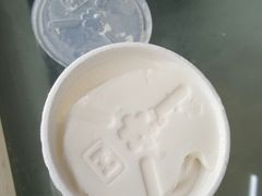 -洪馨椰子