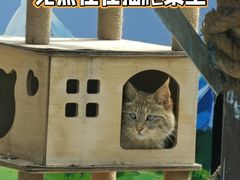 -青藏高原野生动物园