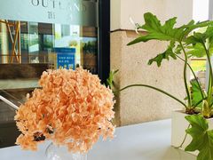 -窗外西餐厅(普罗理想国店)