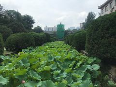 -四川大学(华西校区)