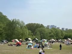 -长白岛森林公园