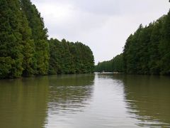 -上海海湾国家森林公园