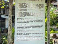 -大象粑粑造纸公园