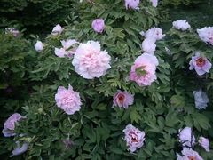 -河南省黄河迎宾馆