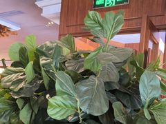 -八府香鸭·啫啫煲(华山路店)