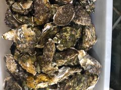 -宾朋海鲜特色美食餐厅·纯手工鲅鱼水饺(兴海路店)