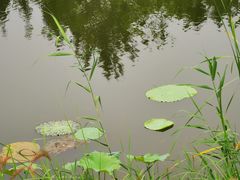 -东郊湿地公园