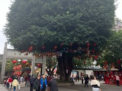 -三坊七巷历史文化街区