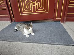 -天津市峰山药王古寺