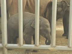 -石家庄市动物园