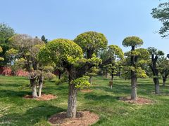-西海子公园