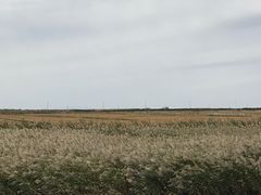 -东方华地城湿地温泉度假区