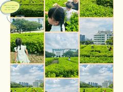 -顺德职业技术大学