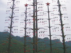 -井冈山风景名胜区