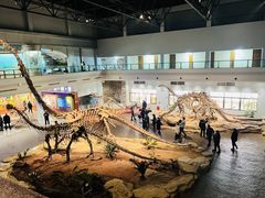 -自贡恐龙博物馆