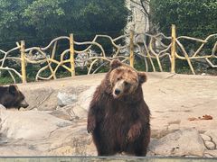 -常州淹城野生动物世界