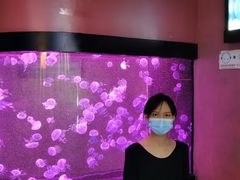 -烟台海昌鲸鲨海洋公园