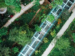 -花水湾第一村温泉大酒店