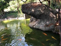 -珠海圆明新园