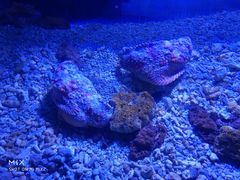 -波塞冬旅游度假区