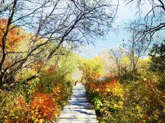 -白草畔自然风景区