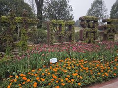 -铁山坪森林公园