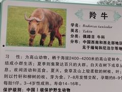 -西安秦岭野生动物园