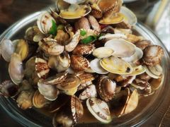 -鲁前海沿儿